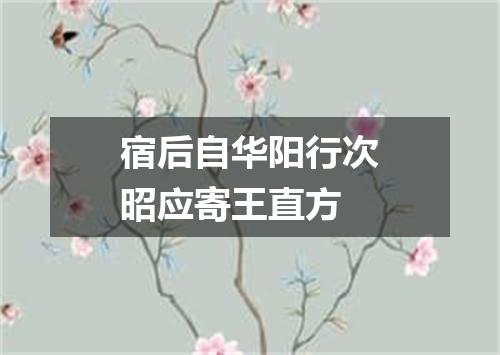 宿后自华阳行次昭应寄王直方