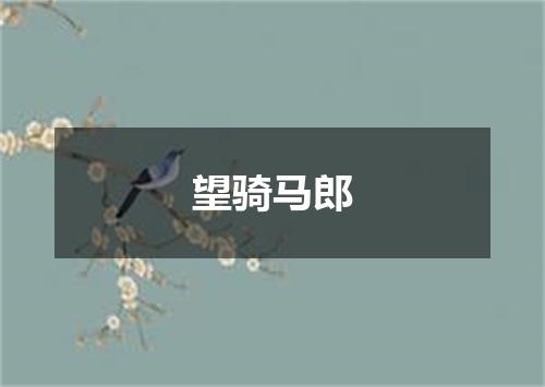 望骑马郎