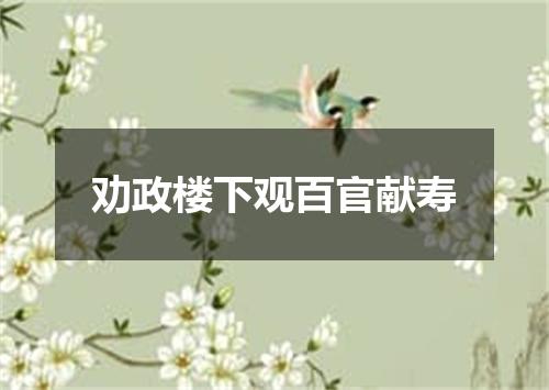 劝政楼下观百官献寿
