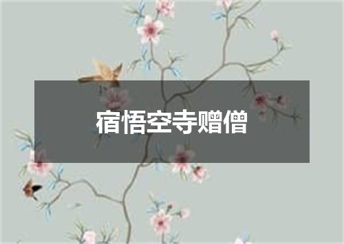 宿悟空寺赠僧