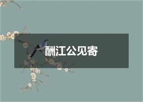酬江公见寄