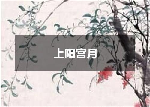 上阳宫月