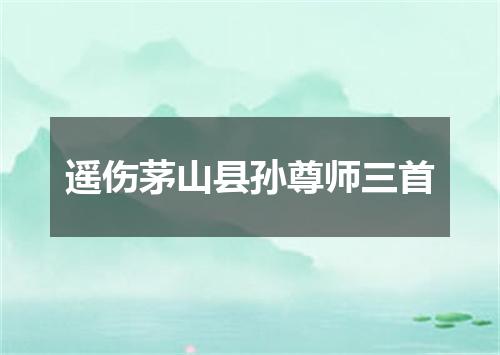 遥伤茅山县孙尊师三首