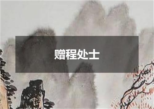 赠程处士