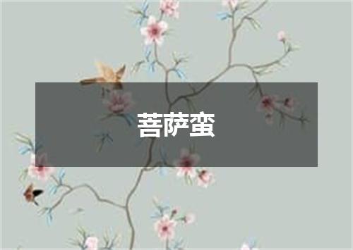 菩萨蛮