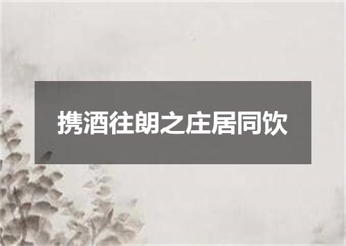 携酒往朗之庄居同饮