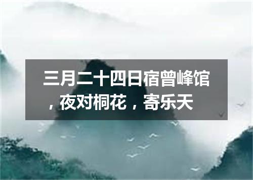 三月二十四日宿曾峰馆，夜对桐花，寄乐天