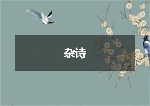 杂诗