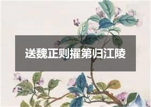 送魏正则擢第归江陵