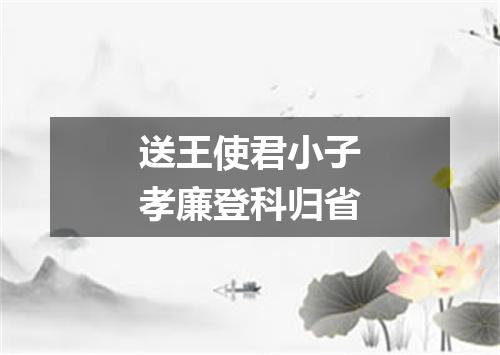送王使君小子孝廉登科归省