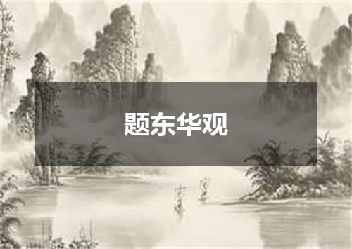 题东华观