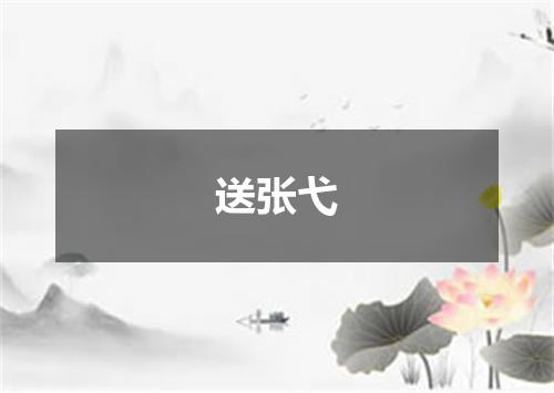 送张弋