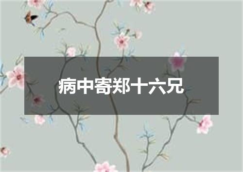 病中寄郑十六兄