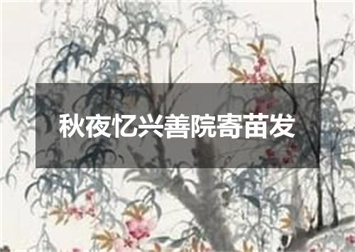 秋夜忆兴善院寄苗发