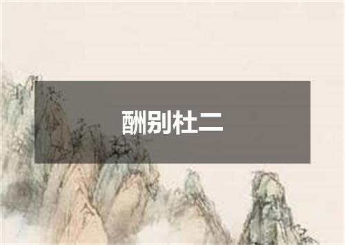 酬别杜二