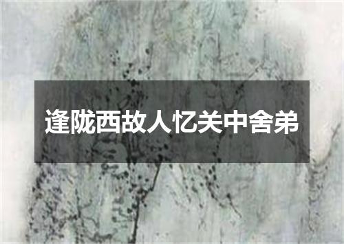 逢陇西故人忆关中舍弟