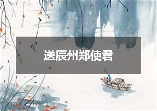 送辰州郑使君