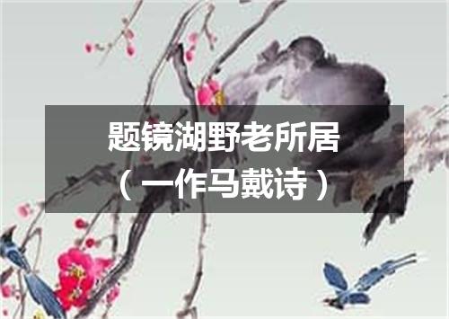 题镜湖野老所居（一作马戴诗）