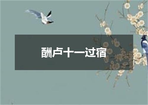 酬卢十一过宿