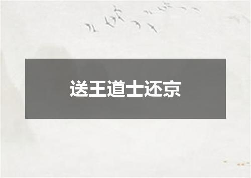 送王道士还京