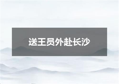 送王员外赴长沙