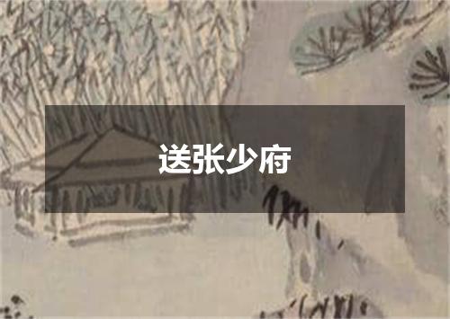 送张少府