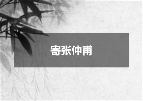 寄张仲甫