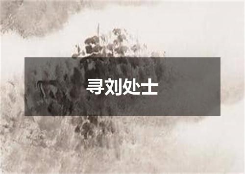 寻刘处士