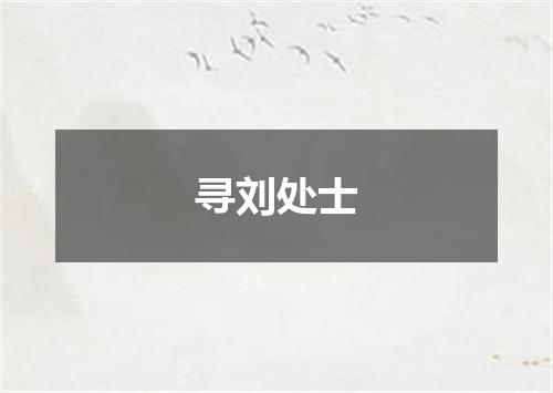 寻刘处士