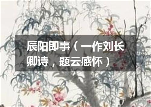 辰阳即事（一作刘长卿诗，题云感怀）