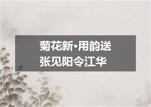 菊花新·用韵送张见阳令江华