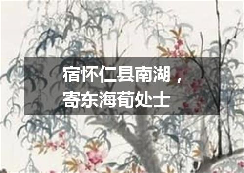 宿怀仁县南湖，寄东海荀处士