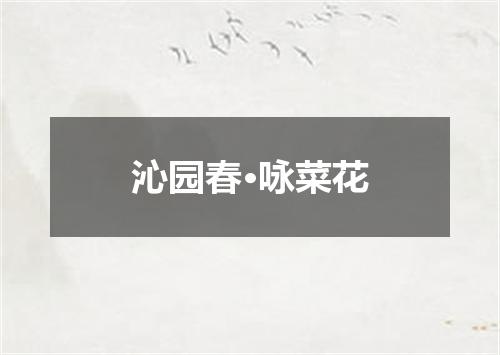 沁园春·咏菜花