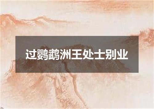 过鹦鹉洲王处士别业