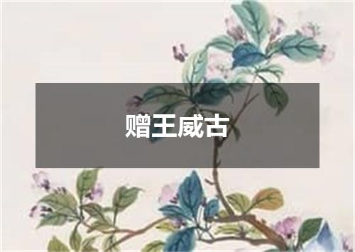 赠王威古