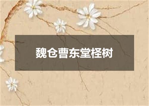 魏仓曹东堂柽树