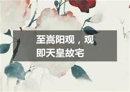 至嵩阳观，观即天皇故宅