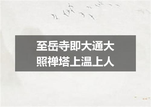 至岳寺即大通大照禅塔上温上人