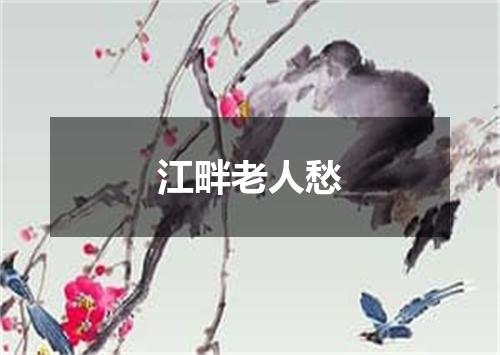 江畔老人愁