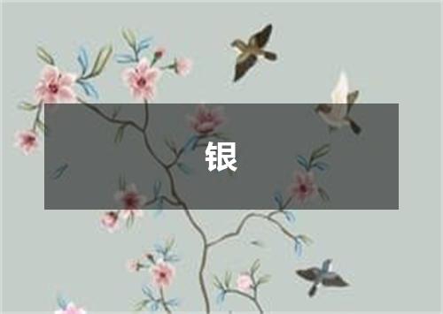 银