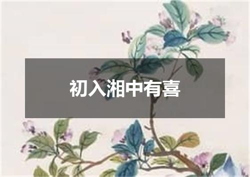 初入湘中有喜