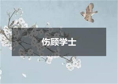 伤顾学士