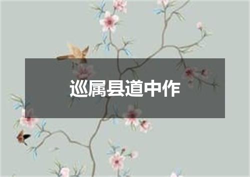 巡属县道中作