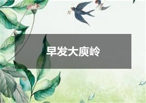 早发大庾岭
