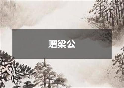 赠梁公