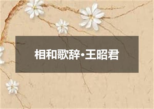 相和歌辞·王昭君