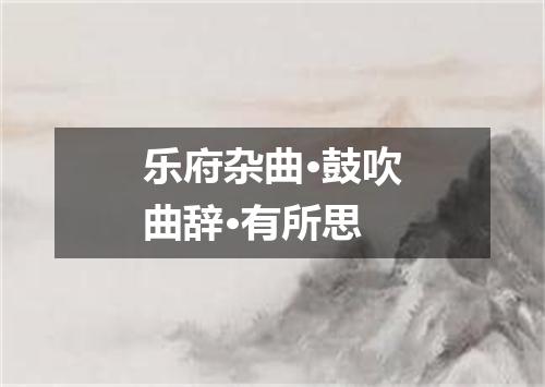 乐府杂曲·鼓吹曲辞·有所思