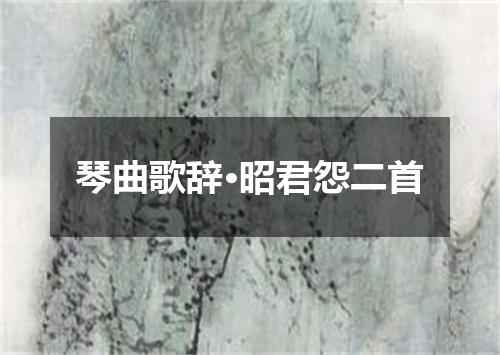 琴曲歌辞·昭君怨二首