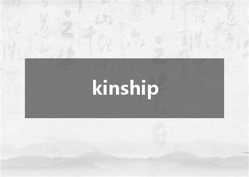 kinship是什么意思
