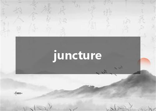 juncture是什么意思